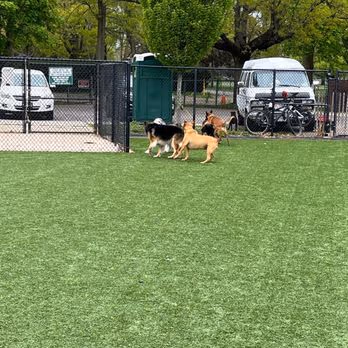 Eisenhower Dog Park photo 1